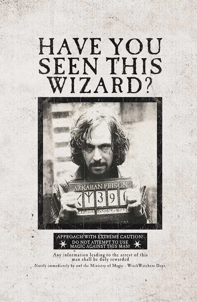 Dėlionė Plakatų ir Kišeninių Knygelių Kolekcija Harry Potter (rinkinys iš 3 dalių) Insight Editions
