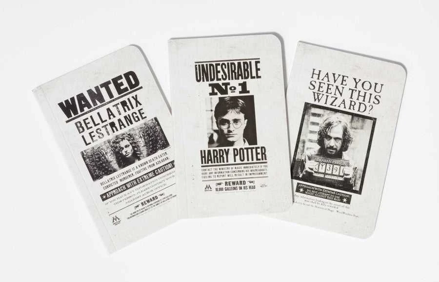 Dėlionė Plakatų ir Kišeninių Knygelių Kolekcija Harry Potter (rinkinys iš 3 dalių) Insight Editions