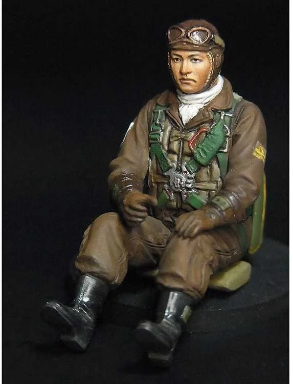 Hasegawa Kawanishi N1K2-J Shidenkai 1/32 surinkimo rinkinys