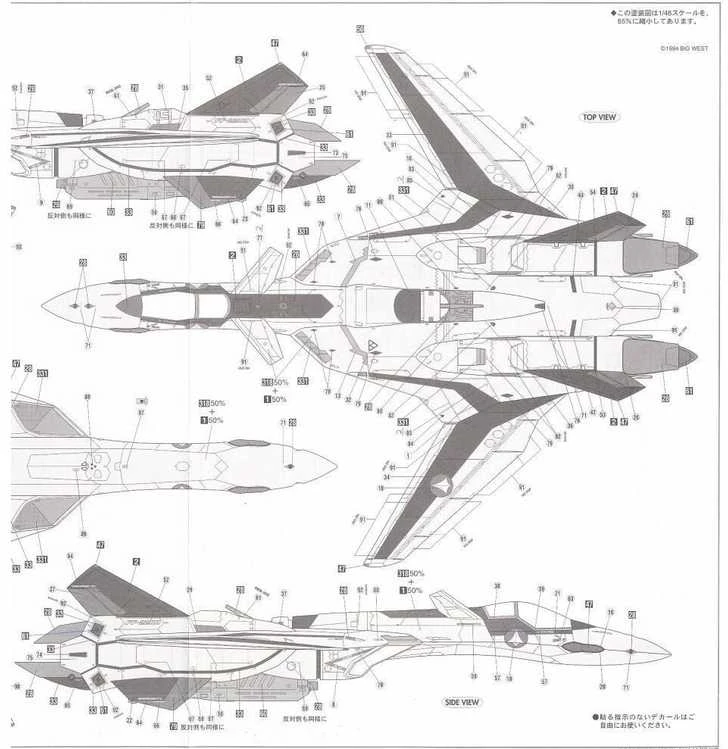 Hasegawa Macross Plus YF-19 1/48 plastikinis lėktuvo modelis