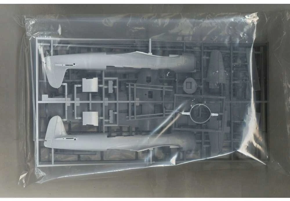 Hasegawa Nakajima C6N1 Saiun 1/48 plastikinis lėktuvo modelis