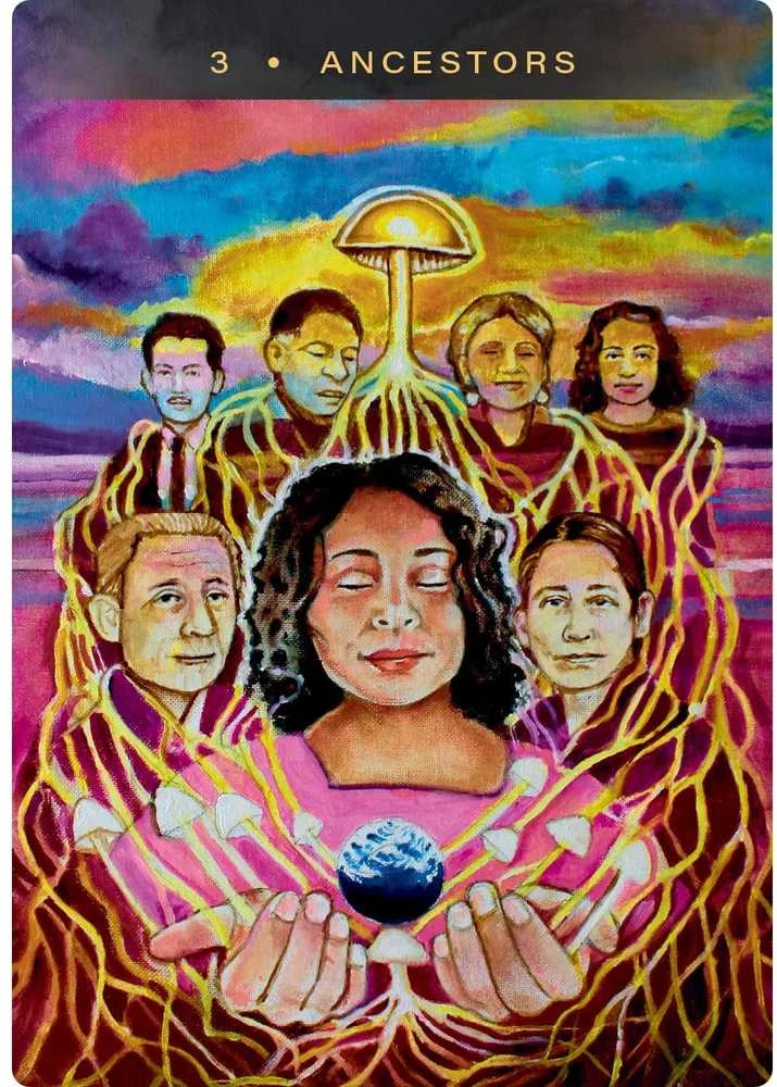 Hay House Sacred Mushroom Oracle šamaninės orakulo kortos anglų kalba