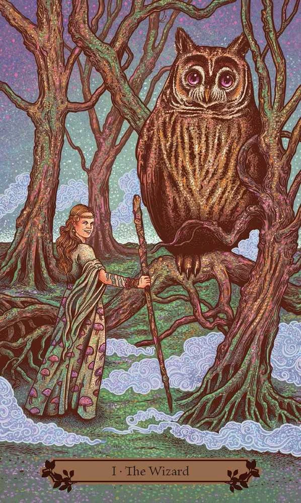 Hedgewitch taro kortos raganoms – Llewellyn, 78 kortų su vadovu