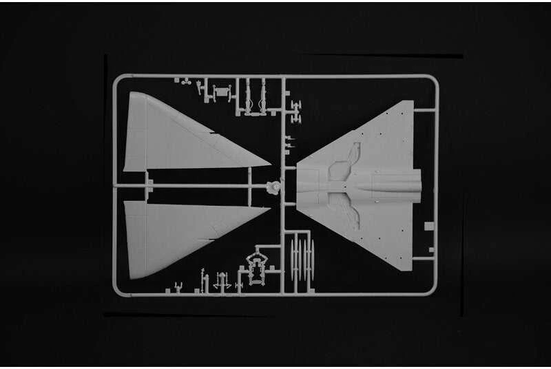 Italeri Dassault Mirage III lėktuvas 1/48 plastikinis surinkimo rinkinys 2816
