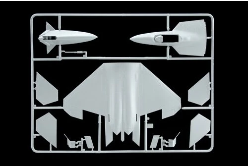 Kontruktorius F-22 Raptor Italeri