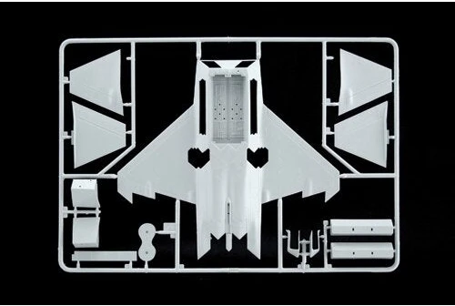 Kontruktorius F-22 Raptor Italeri