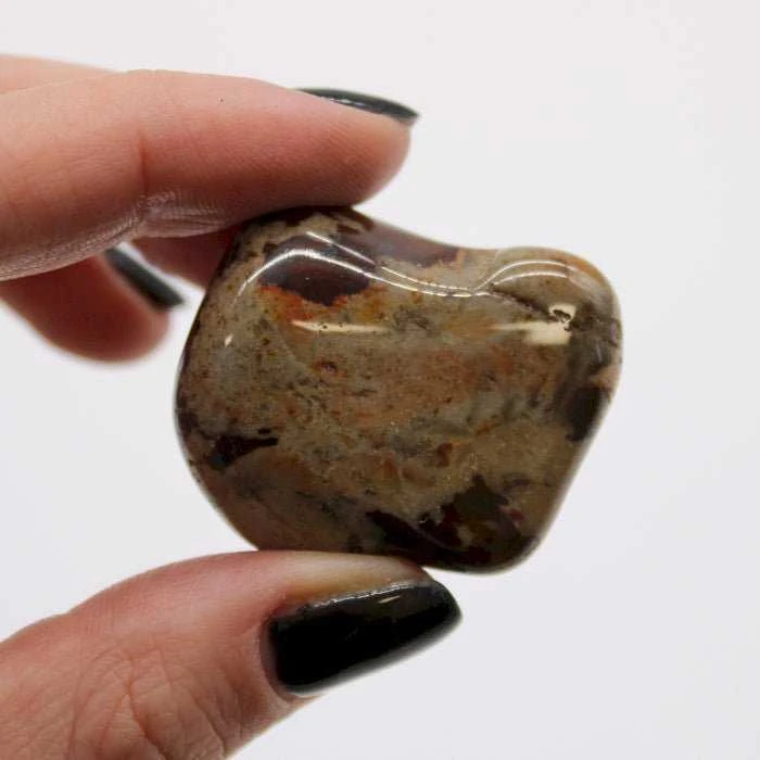 Ancient Wisdom Jasper Nguni (6 Vnt. L Dydžio)