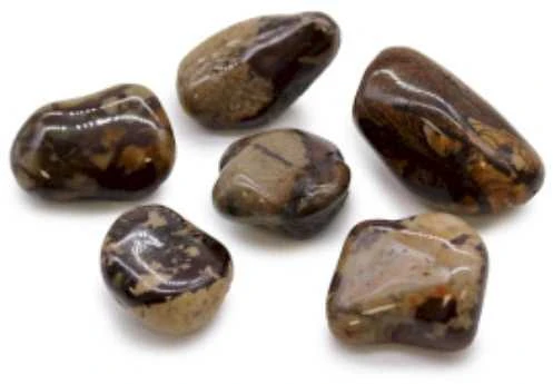 Ancient Wisdom Jasper Nguni (6 Vnt. L Dydžio)