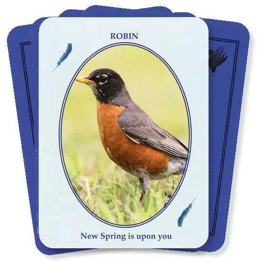 Kiti Prekiniai Zenklai Dragonhawk Publishing Feathered Omens Spiritual Kortos