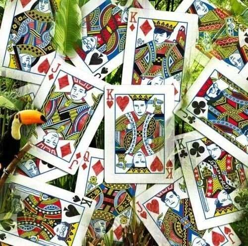 Kiti Prekiniai Zenklai Infinity Playing Cards kortos Difatta