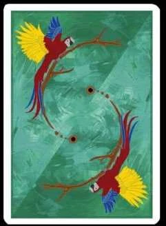 Kiti Prekiniai Zenklai Infinity Playing Cards kortos Difatta