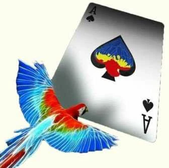 Kiti Prekiniai Zenklai Infinity Playing Cards kortos Difatta