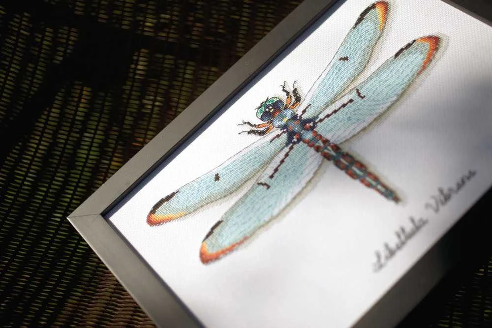 Vervaco Verachtert Nv Kryželiu siuvinėjimo rinkinys LMV Dragonfly 27x19 cm PN/0165453