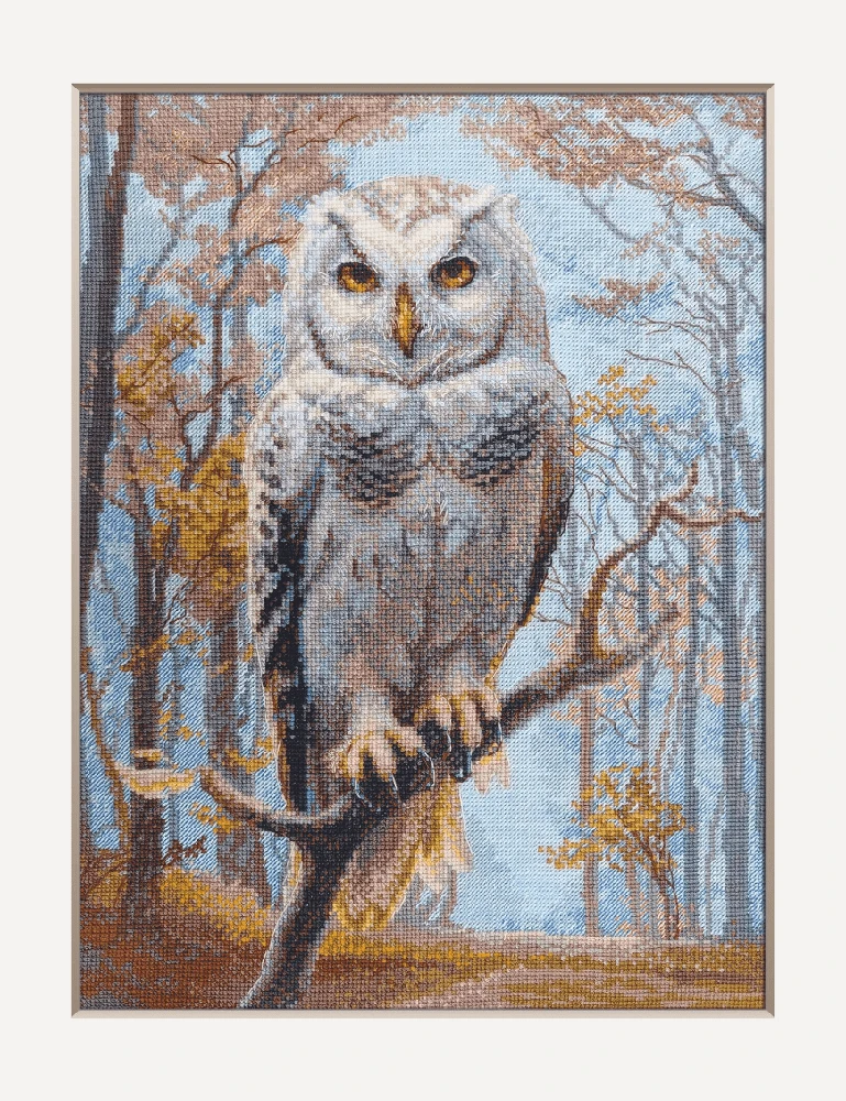 Riolis Kryželio rinkinys "Wildwood Owl" 30x40 cm SRA1016