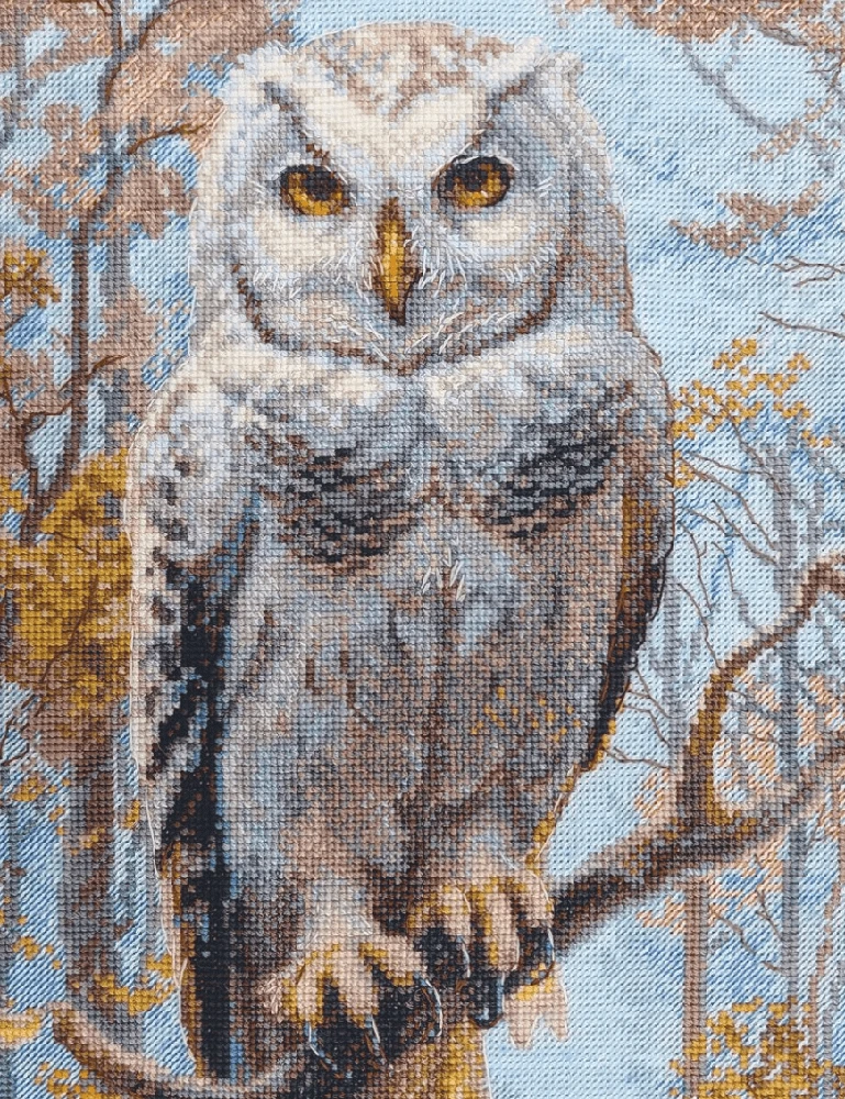 Riolis Kryželio rinkinys "Wildwood Owl" 30x40 cm SRA1016