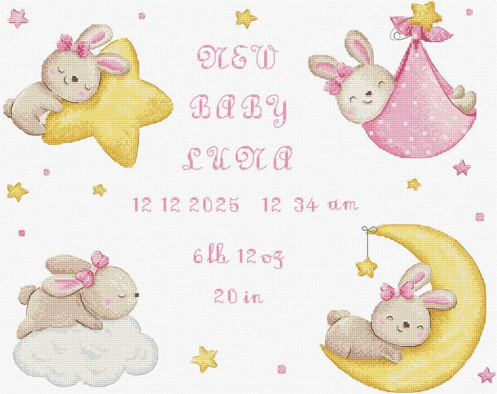 Letistitch Kryželiu siuvinėjimo rinkinys „Baby Girl record“ 41x33cm SLETIL9943