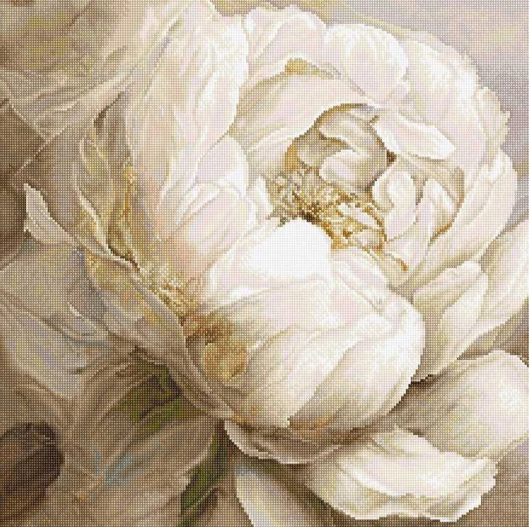 LetiStitch luca S Skaičiuojamo kryžminio dygsnio rinkinys „Peony Poses“ 35x35cm SLETIL8083