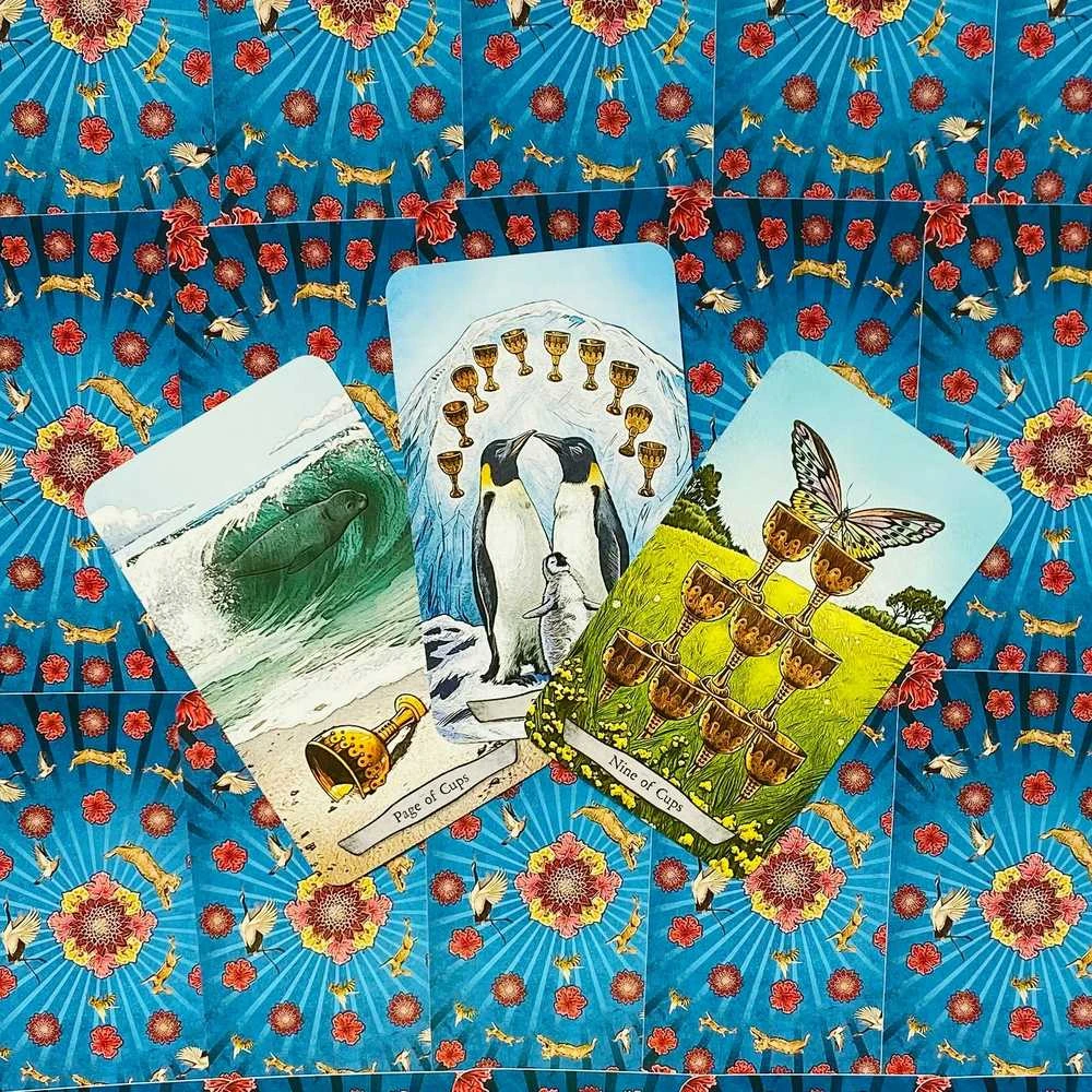 Llewellyn Animal Totem Taro Kortos
