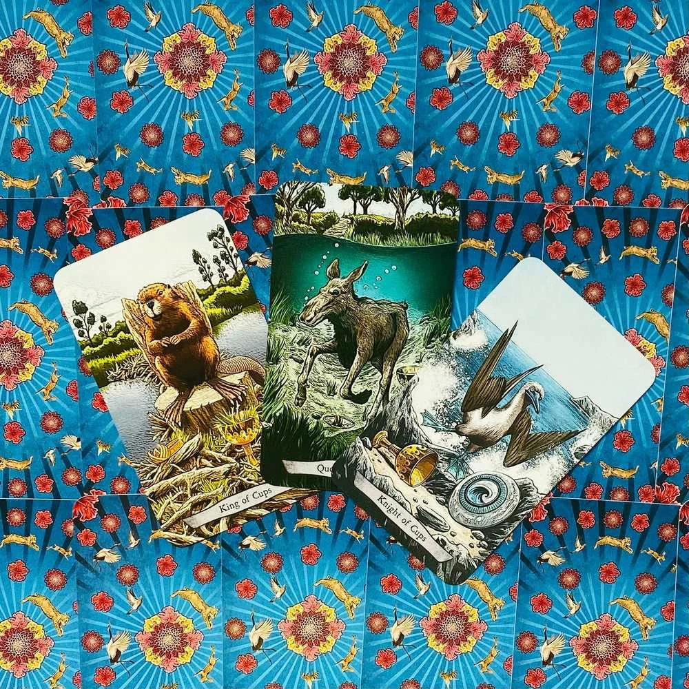 Llewellyn Animal Totem Taro Kortos