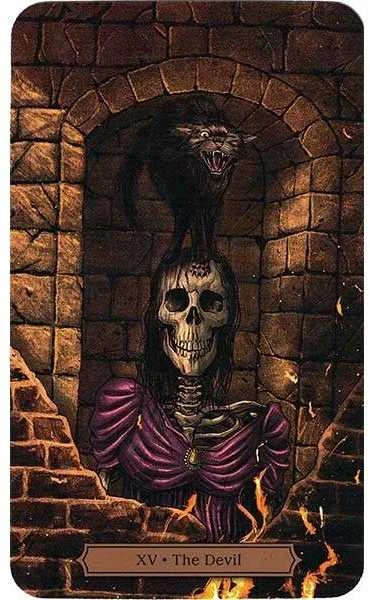 KNYGA Llewellyn Edgar Allan Poe Tarot Kortos