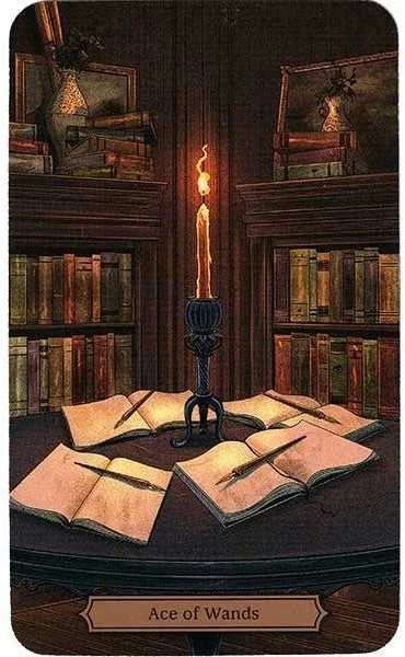 KNYGA Llewellyn Edgar Allan Poe Tarot Kortos