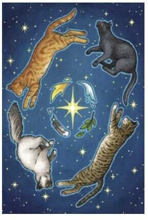 Llewellyn Everyday Witch Oracle Kortos