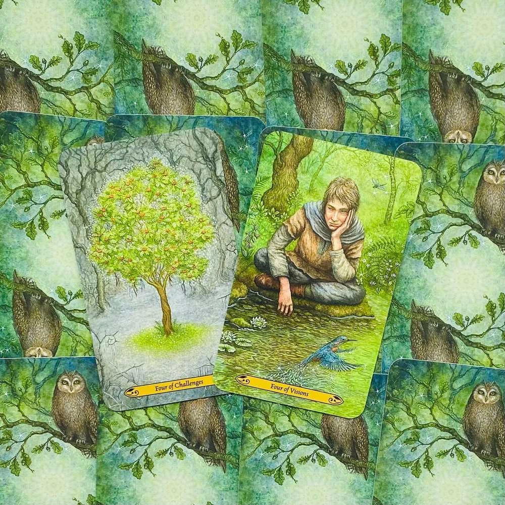 Llewellyn Forest Of Enchantment Taro Kortos