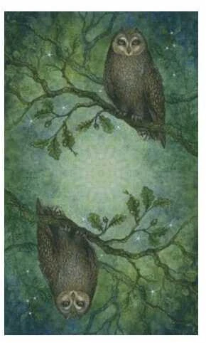 Llewellyn Forest Of Enchantment Taro Kortos