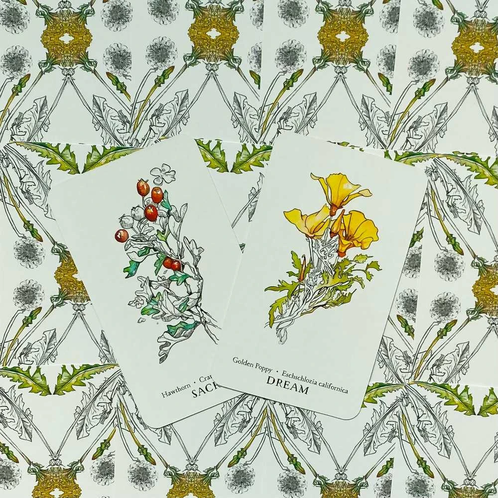 Llewellyn Hedgewitch Botanical Oracle Kortos