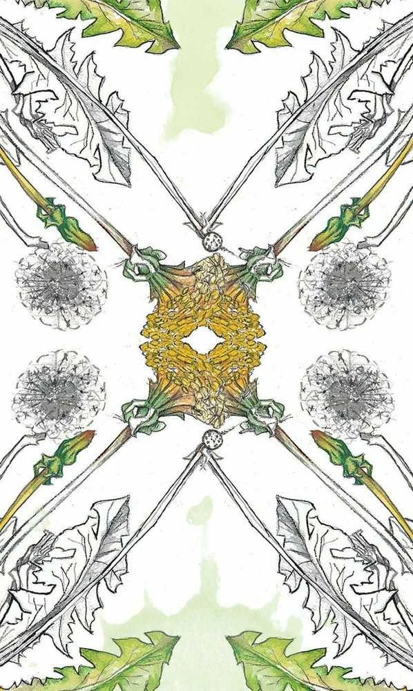 Llewellyn Hedgewitch Botanical Oracle Kortos