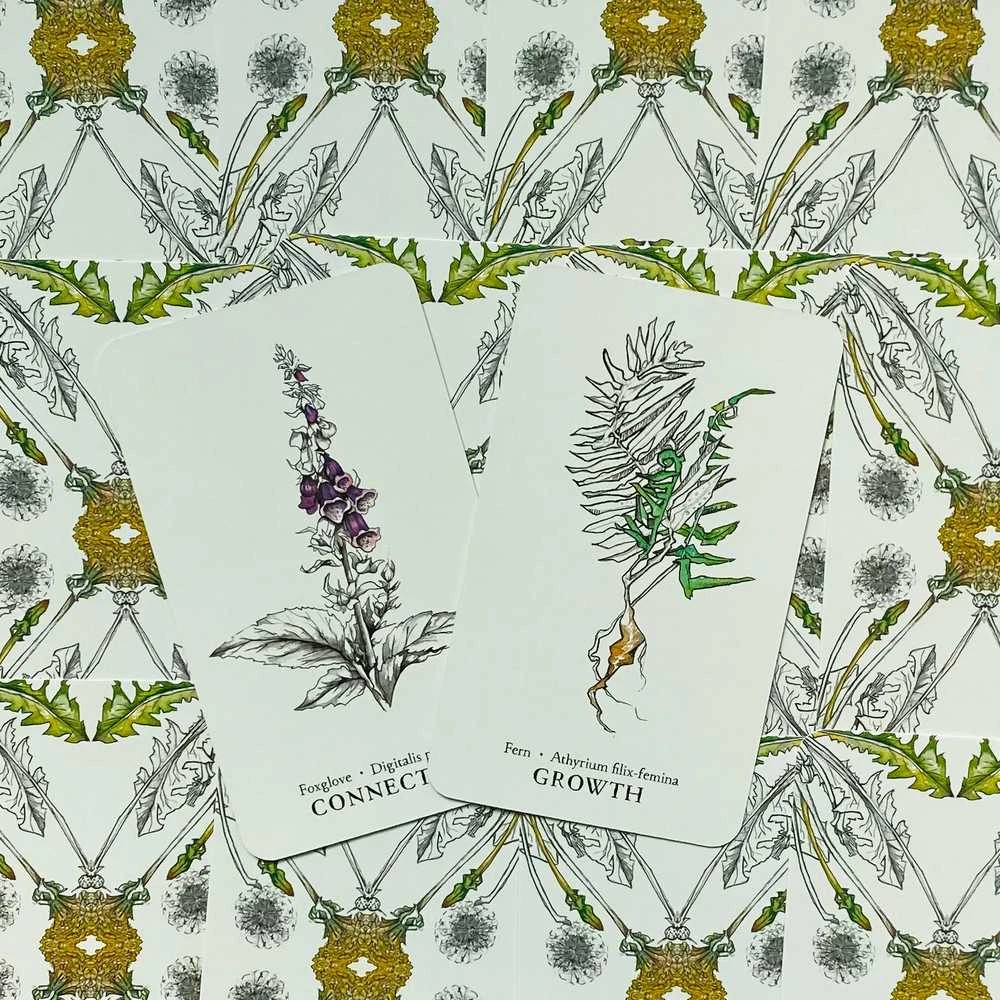 Llewellyn Hedgewitch Botanical Oracle Kortos