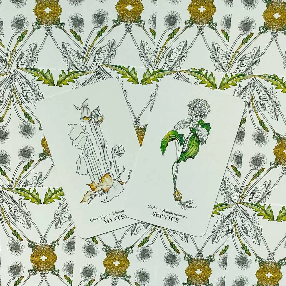 Llewellyn Hedgewitch Botanical Oracle Kortos