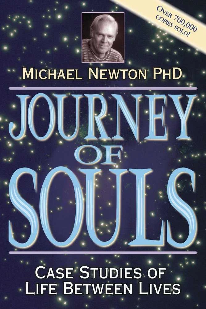 Journey Of Souls Knyga Llewellyn