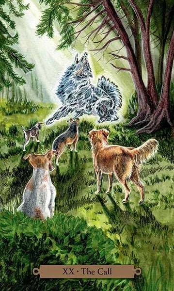 Llewellyn Magical Dogs Tarot Kortos