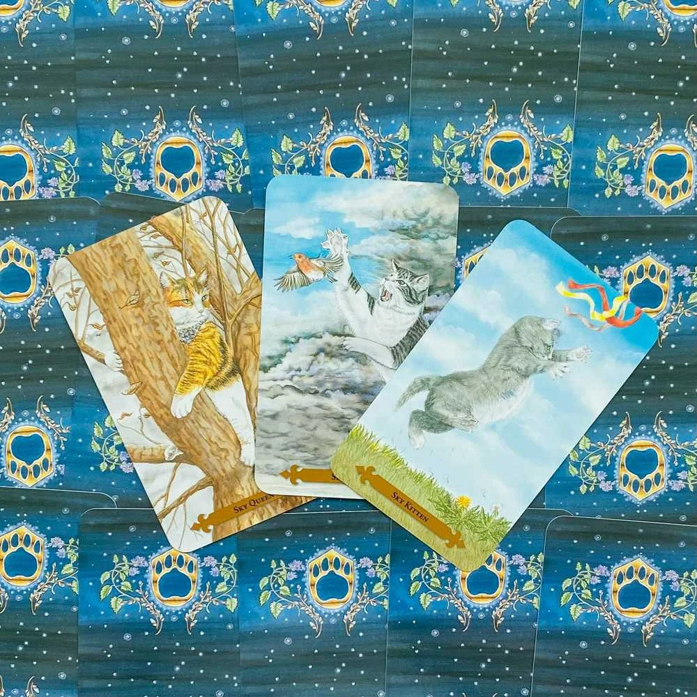 KNYGA Llewellyn Mystical Cats Tarot Kortos