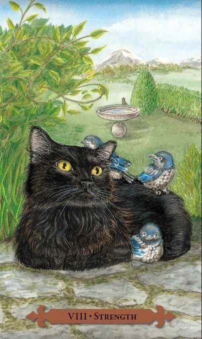 KNYGA Llewellyn Mystical Cats Tarot Kortos