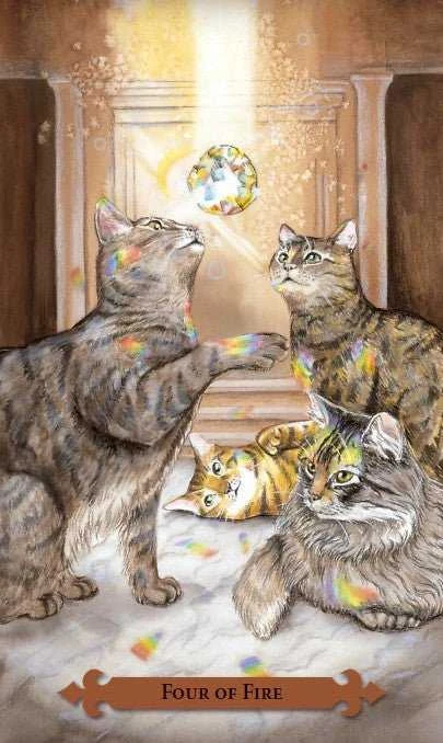 KNYGA Llewellyn Mystical Cats Tarot Kortos