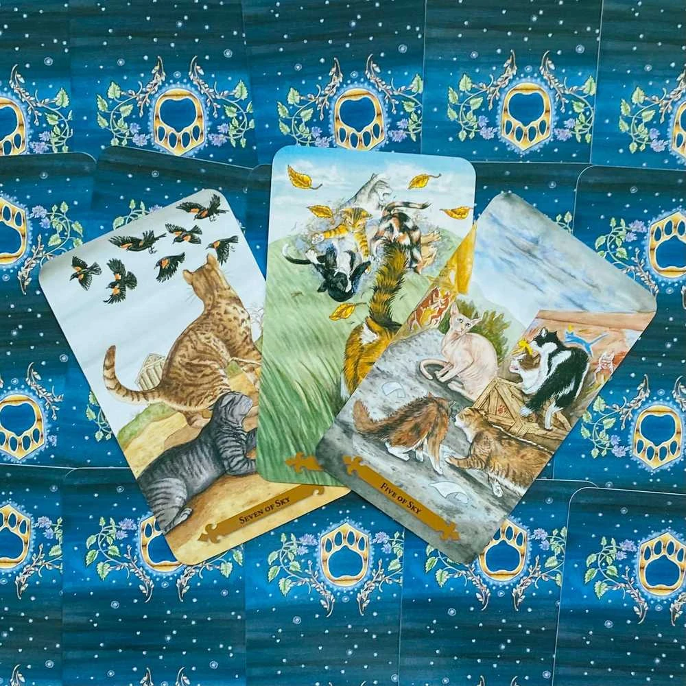 KNYGA Llewellyn Mystical Cats Tarot Kortos