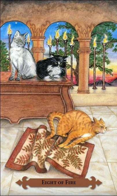 KNYGA Llewellyn Mystical Cats Tarot Kortos