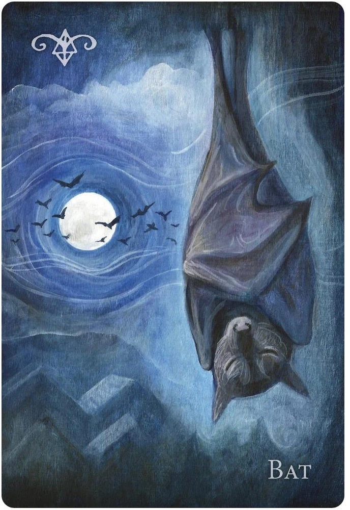 Oracle kortų rinkinys - Llewellyn A Witch's Ally 48 Gyvūnų Dvasios Kortos Marga