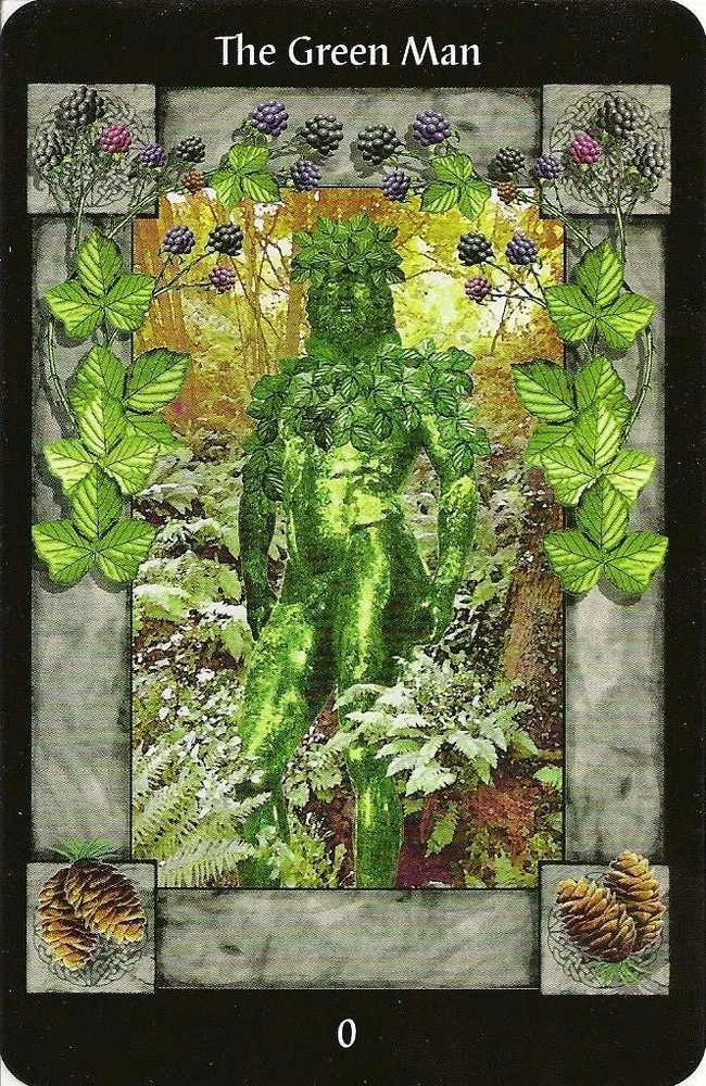 Llewellyn Sacred Circle Taro Kortos