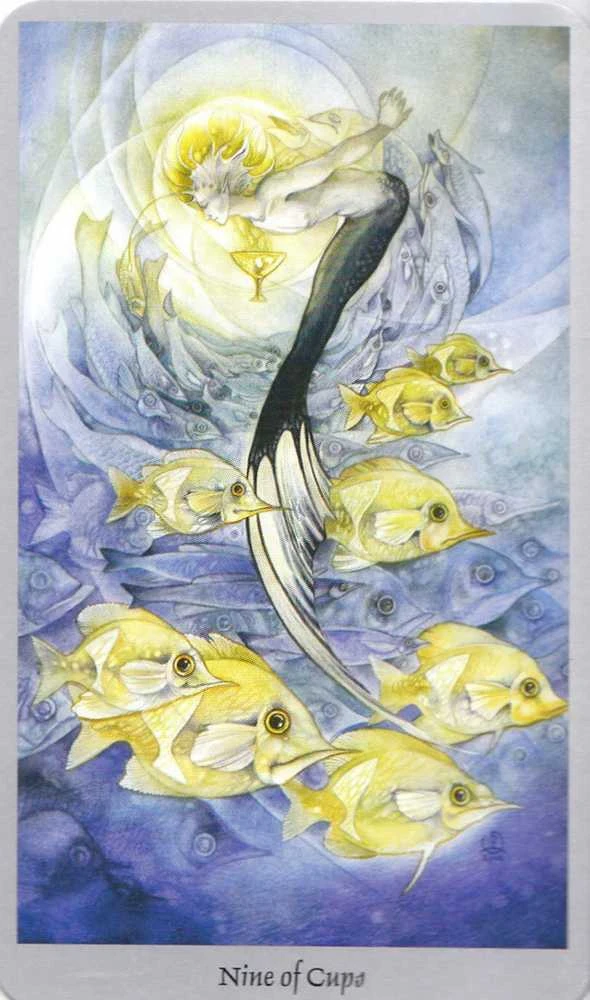 Llewellyn Shadowscapes Taro Kortos Ir Knyga (rinkinys)