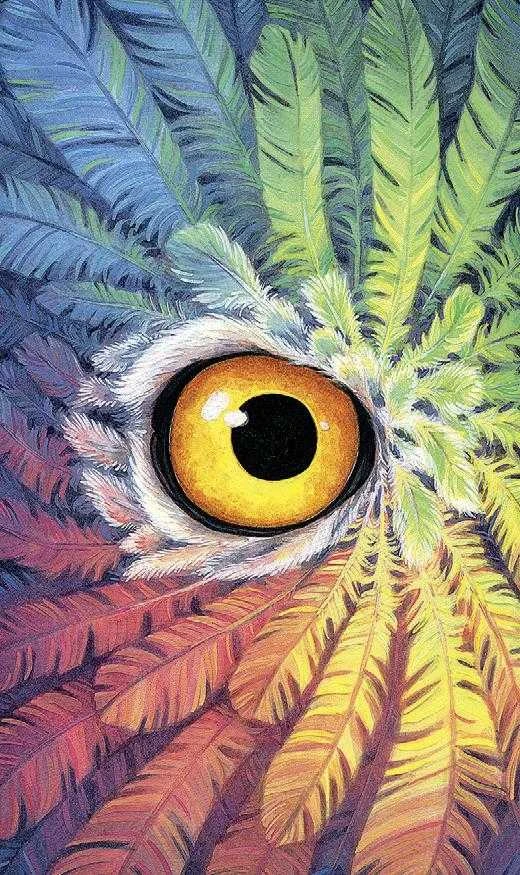 Llewellyn Tarot of the Owls mini tarot kortos – pelėdų išmintis