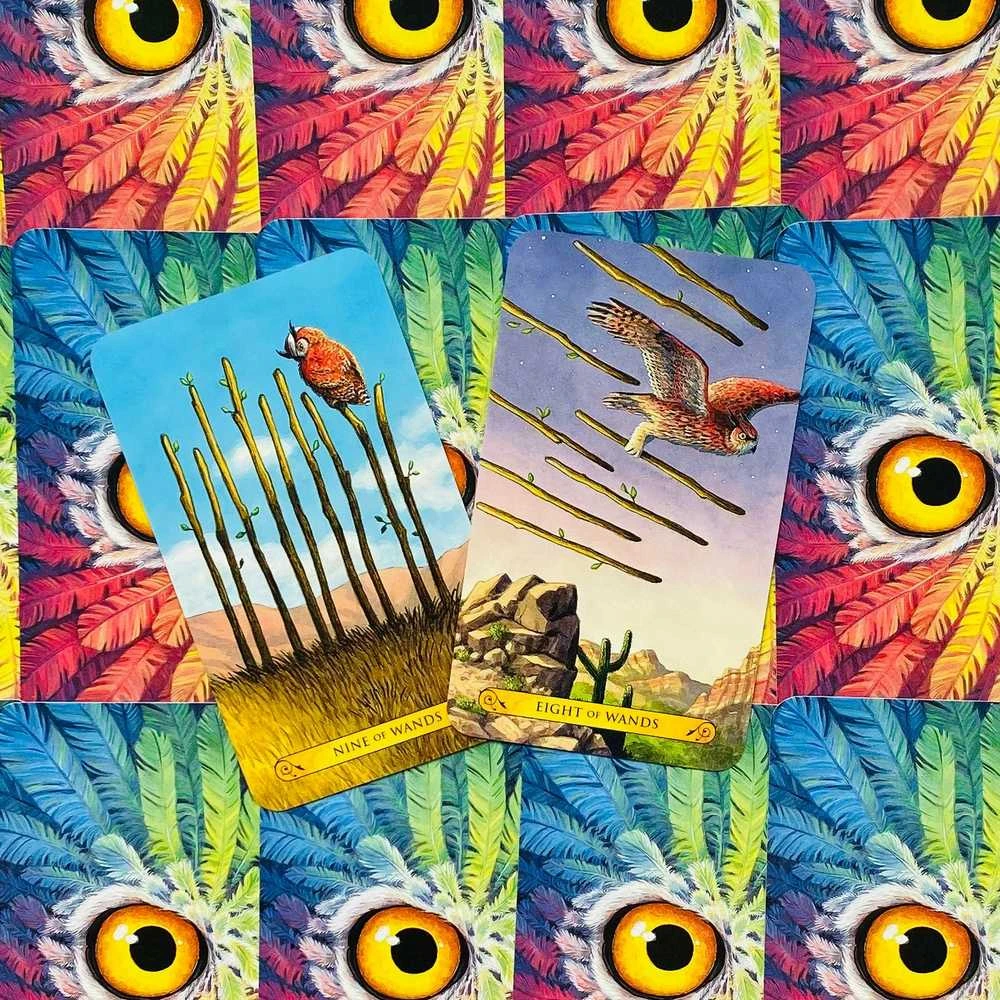Llewellyn Tarot Of The Owls Kortos