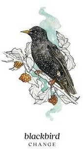 Llewellyn Winterseer Animal Oracle Kortos