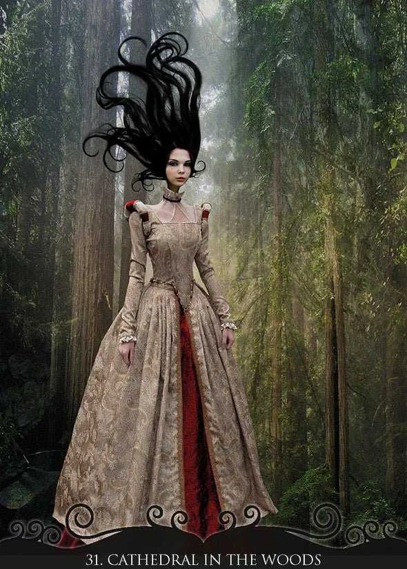 Lo Scarabeo Journey Of A Lonely Soul Oracle Kortos