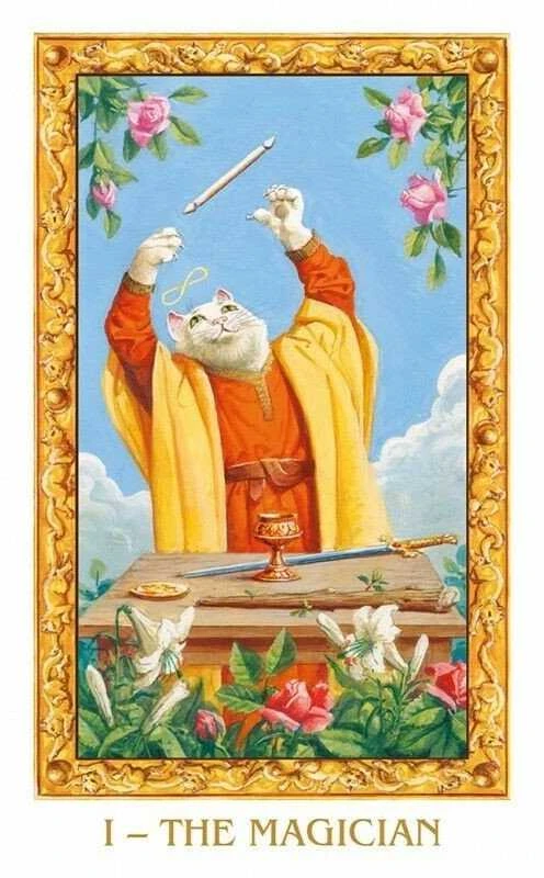 Lo Scarabeo Mini Tarot Of Baltas Cats Taro Kortos