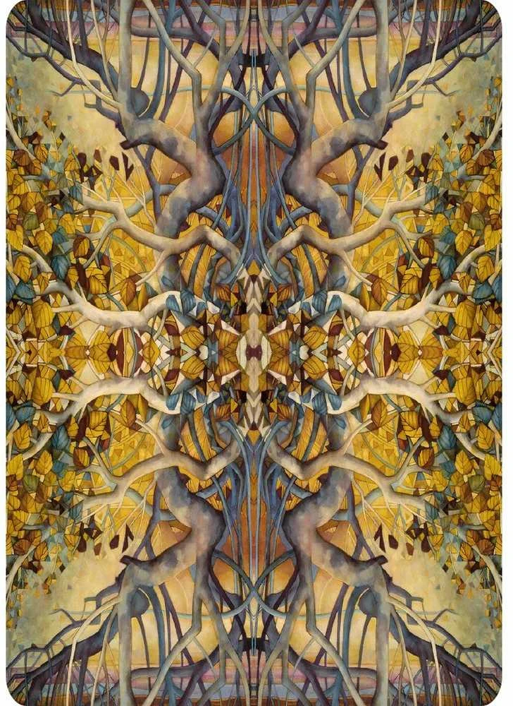 Lo Scarabeo Portraits Of A Woman Aspects Of A Goddess Kortos