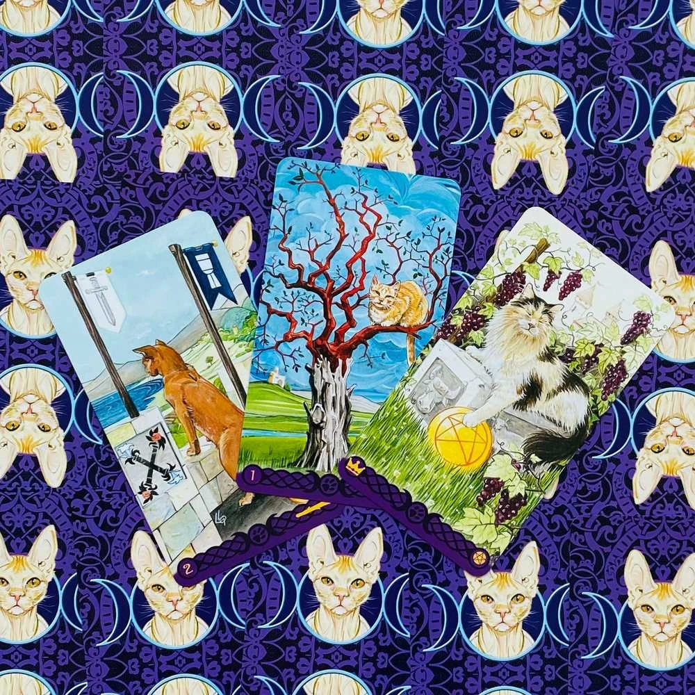 Lo Scarabeo Tarot Of Pagan Cats Kortos
