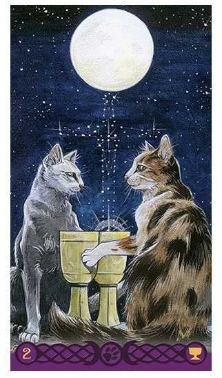 Lo Scarabeo Tarot Of Pagan Cats Kortos